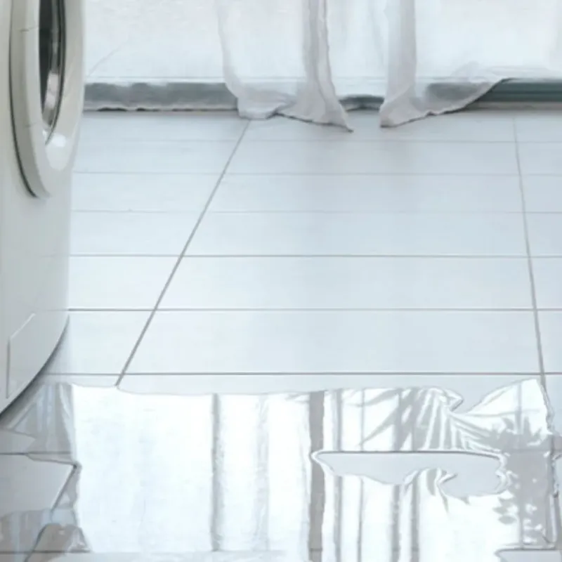 Appliance Leak Cleanup in Marion, MA