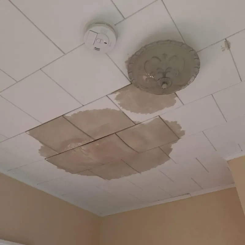 Ceiling Water Damage Repair in Marion, MA